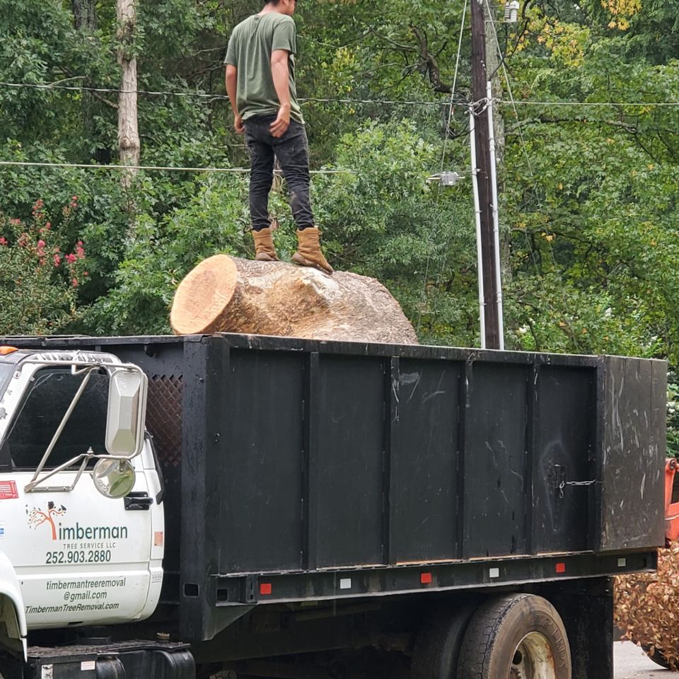 Cleared, shaped yard after Timberman tree service in Knightdale, NC
