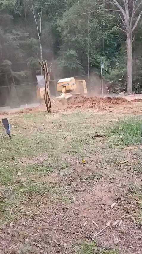 Stump grinding a hardwood stump below grade in Raleigh, NC