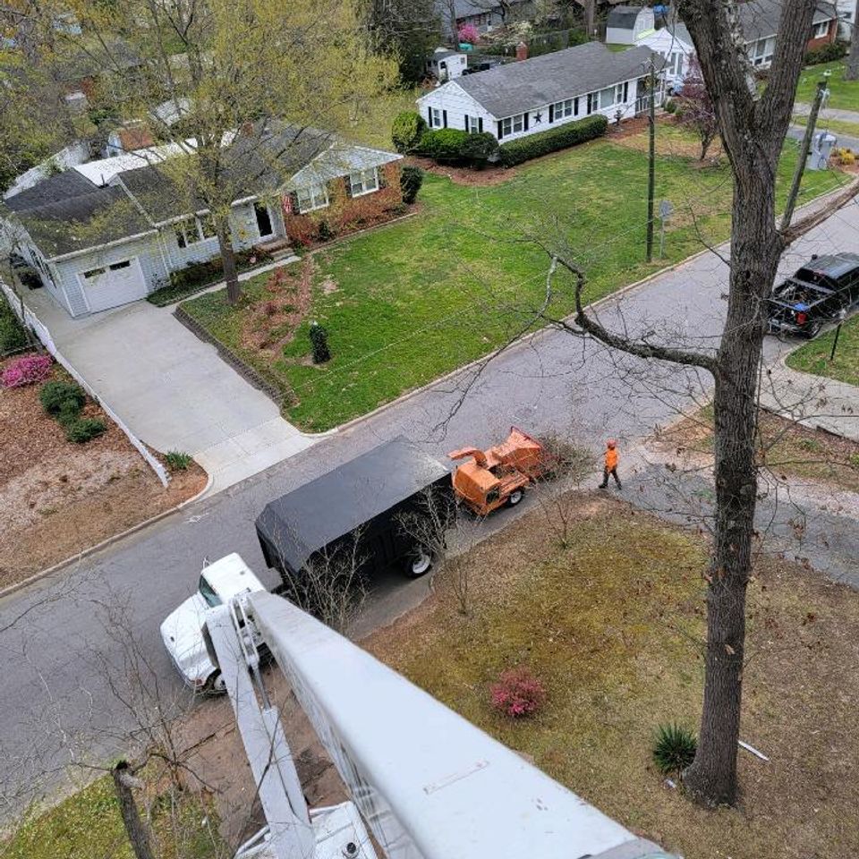 Boards laid over grass to protect a lawn during tree work in Wake County, NC